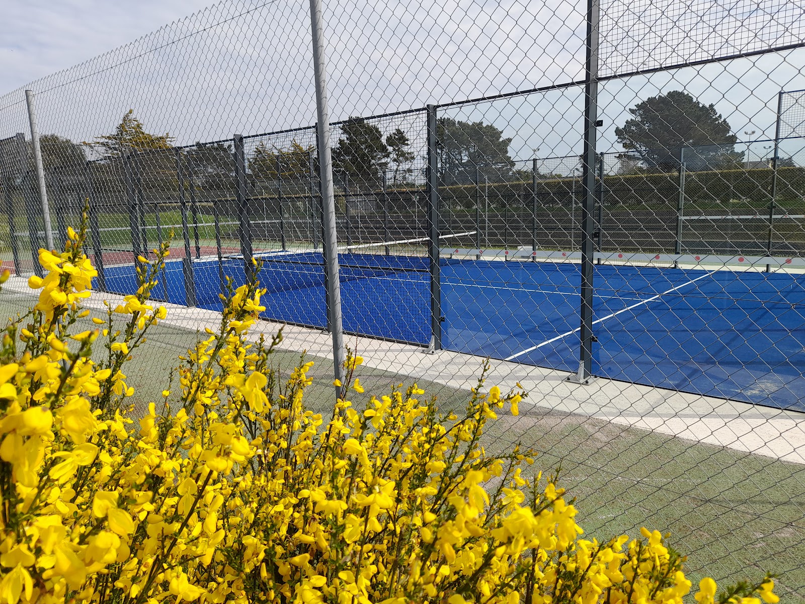Terrain de Padel, club de padel à Trégastel